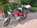 Sahibinden Mondial 50 UAG 