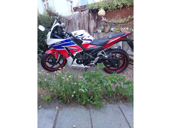 Sahibinden Honda CBR 250 R