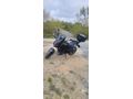 Sahibinden Bajaj Dominar 400 UG