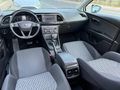 CAM TAVAN OTOMATİK LEON