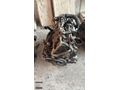 DUCATO 2.8 2.2 2.0 motor şanzıman