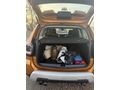 Sahibinden Dacia Duster 1.6 Sce Comfort 2020 Model 
