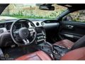 KRC CARS 2015 MUSTANG 5.0 FASTBACK