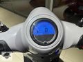 HATASIZ/ARORA CAPPUCİNO 50CC/ÇANTALI/BAKIMLI
