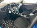 PEUGEOT BAYKARALAR 2025 FOCUS 1.5 ECOBLUE TİTANİUM X 115HP