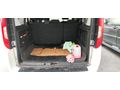 Sahibinden Fiat Doblo Combi 1.6 Multijet Safeline 2021 Model