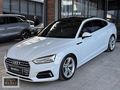 2017 MODEL 196 BİN KM TABA DERİ SUNRUFF SPORT PAKET A5