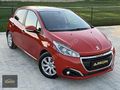 AR-KON DAN CAM TAVAN DEĞİŞENSİZ 167 BİNDE OTOMATİK ÖZEL RENK