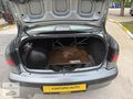 DEĞİŞENSİZ ZİLLL MEGANE 1 RTE 1.6