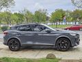 Sahibinden Cupra Formentor 1.5 TSI 2024 Model
