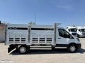 NEŞELİ İSTANBUL-2024 TRANSİT 350 LF CELEP KAS+TABLET E.+ŞERİT T.