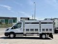 NEŞELİ İSTANBUL-2024 TRANSİT 350 LF CELEP KAS+TABLET E.+ŞERİT T.