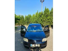 Doğan şahin parasına ceddy