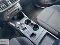 FORD FOCUS 1.5 ECOBLUE TİTANİUM STİLL DÜŞÜK KM