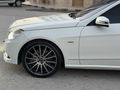 ELBA AUTO DAN E250