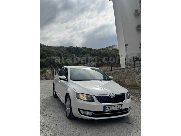 Sahibinden Skoda Octavia 1.6 TDI Optimal 2015 Model 