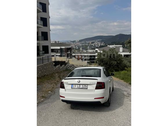 Sahibinden Skoda Octavia 1.6 TDI Optimal 2015 Model 