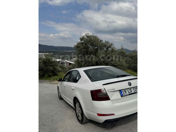 Sahibinden Skoda Octavia 1.6 TDI Optimal 2015 Model 