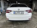 Sahibinden Skoda SuperB 1.6 TDI Active 2017 Model 