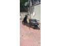 Sahibinden Kuba Blueberry 50