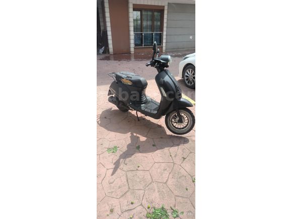 Sahibinden Kuba Blueberry 50