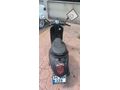 Sahibinden Kuba Blueberry 50