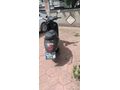 Sahibinden Kuba Blueberry 50