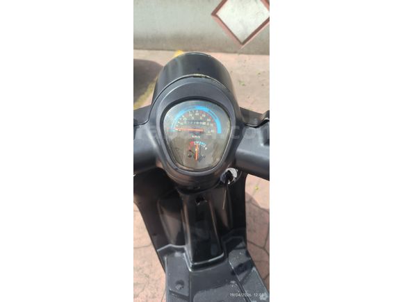 Sahibinden Kuba Blueberry 50