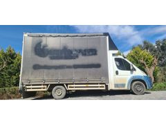 2011 pejo boxer