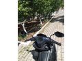 Sahibinden RKS Arome 125