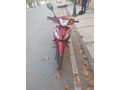 Kuba Ege 50 100luk