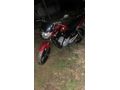 Sahibinden Yamaha YBR 125 