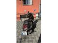 ACİL SATIKIK ÖZEL SERİ ARORA SAFARİ 50cc/125cc