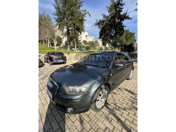 Sahibinden Audi A3 Sportback 1.6 Ambition 2006 Model 