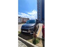 Sahibinden Citroen Berlingo 1.5 BlueHDI Feel Bold 2023 Model Ordu 35.000 km Füme