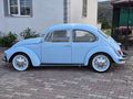 ''ŞAHBAZLAR''DAN 1971 MODEL WV 1302L DÜZCAM DEMİR DÖŞ