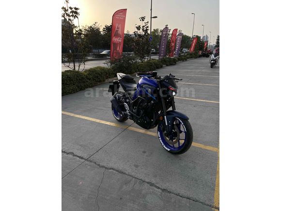 Garaj Motoru MT-25