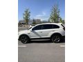EFECE DEN CAPTIVA 2.0 LTZ EKSTRALI FULLLLL