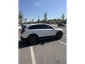 EFECE DEN CAPTIVA 2.0 LTZ EKSTRALI FULLLLL