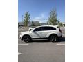 EFECE DEN CAPTIVA 2.0 LTZ EKSTRALI FULLLLL