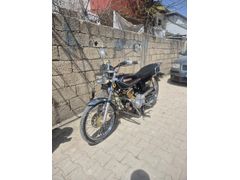 Sahibinden Kuba Çita 50R Gold