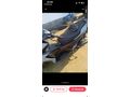 Sahibinden Kuba Arome 125 Pro