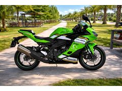 Sahibinden Kawasaki Ninja ZX-4RR