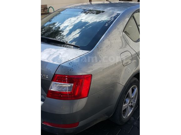 2. Sahibinden Dizel Otomatik Octavia