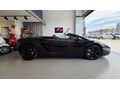 TRUE MOTORS ' DAN MÜKEMMEL KONDİSYONDA LAMBORGHİNİ GALLARDO