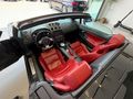 TRUE MOTORS ' DAN MÜKEMMEL KONDİSYONDA LAMBORGHİNİ GALLARDO