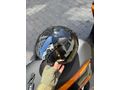 Sahibinden CSN Motor Beauty 125 