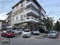 JAPON HARİKASI
