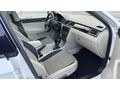 Cam tavan Skoda Rapid 1.6 TDI Spaceback Elegance 