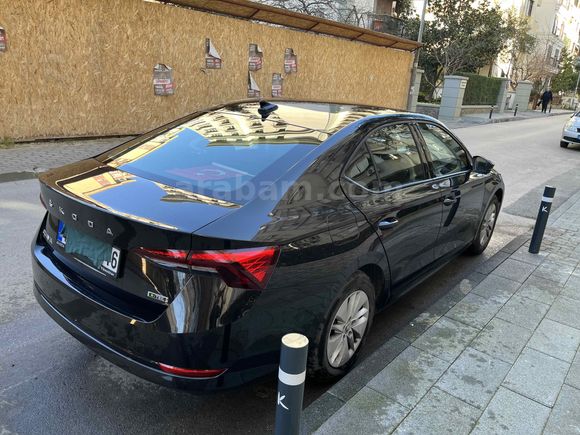 Sahibinden Skoda Octavia 1.0 e-Tec Elite 2024 Model İstanbul